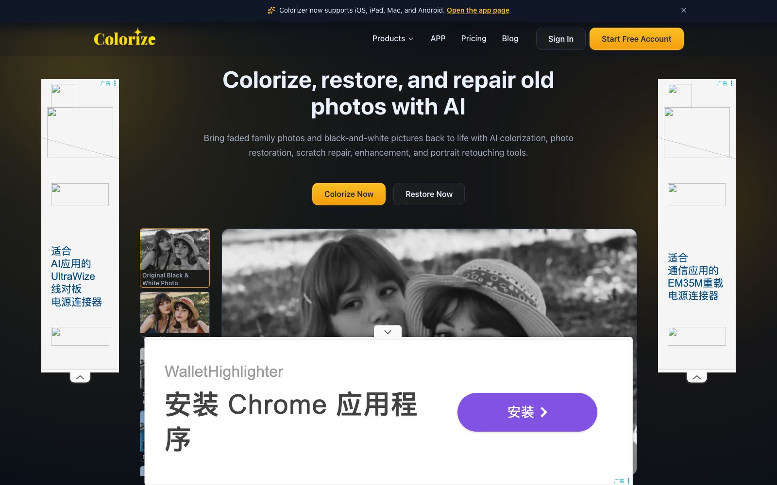 首页 - ImageColorizer